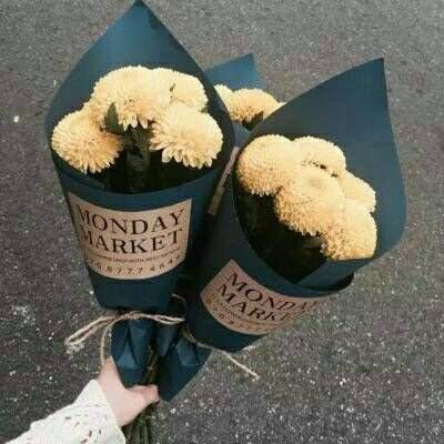 乐发app下载安装